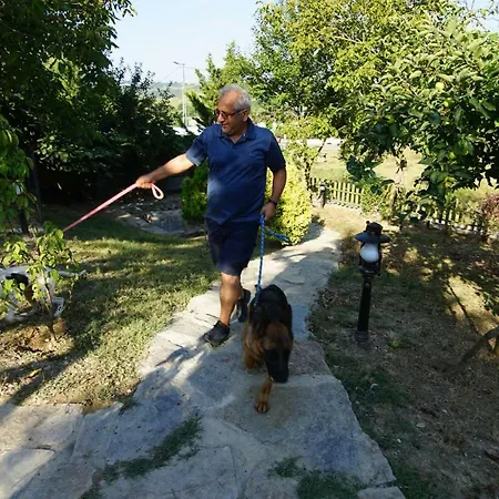 Castle Nolana Отель