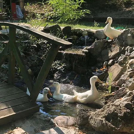 Castle Nolana 3* Geredeli