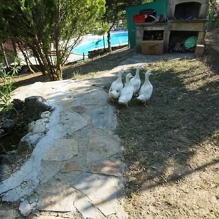 Castle Nolana Отель 3*