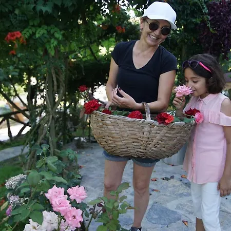 Otel Castle Nolana Geredeli