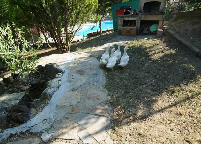 Castle Nolana Hotel 3*