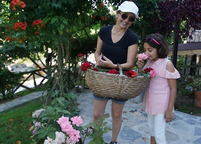 Hotel Castle Nolana Geredeli